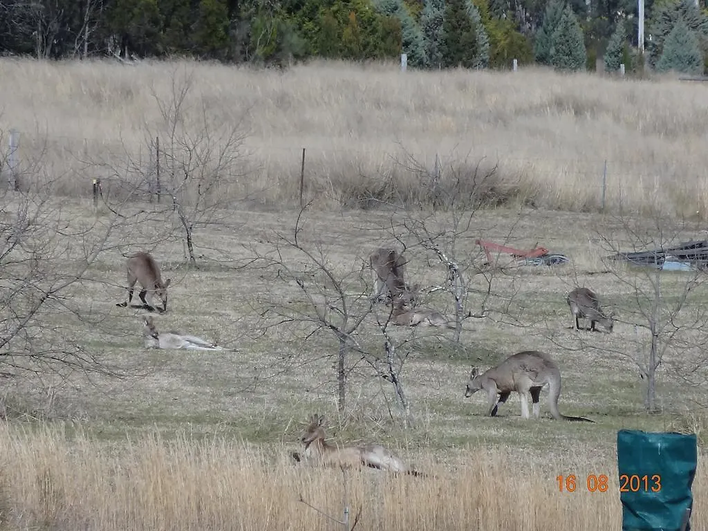 Maric Park Cottages Stanthorpe Australia