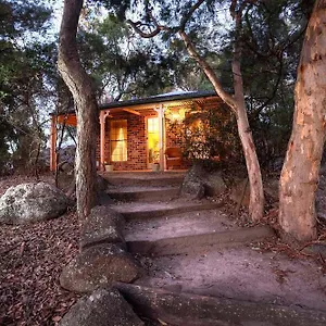 Lodge Honeysuckle, Stanthorpe