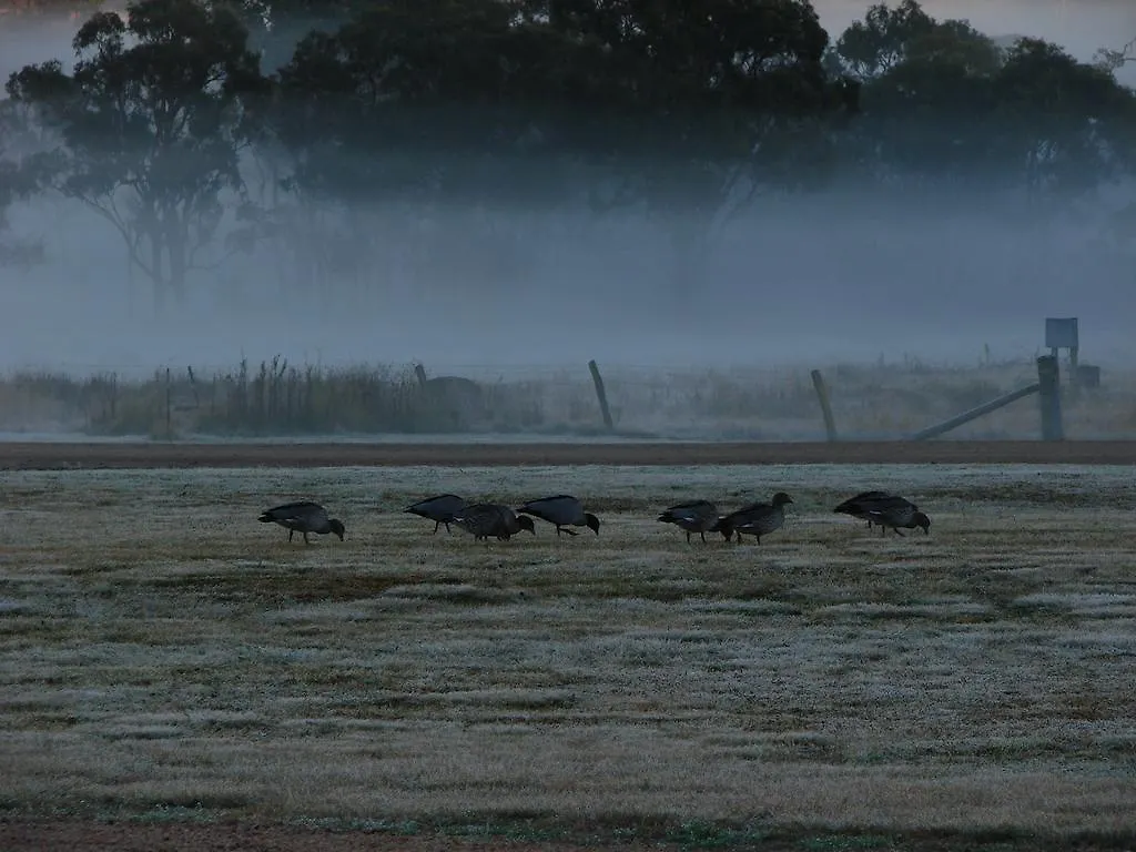Maric Park Cottages Stanthorpe 4*,  Australia